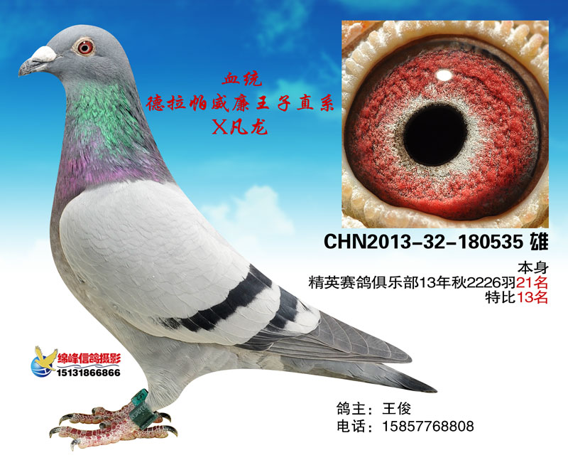 ����TA�ĸ�����