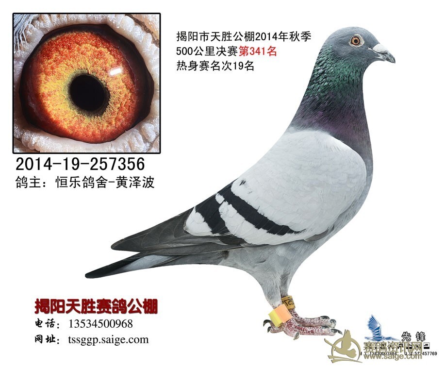 ����TA�ĸ�����