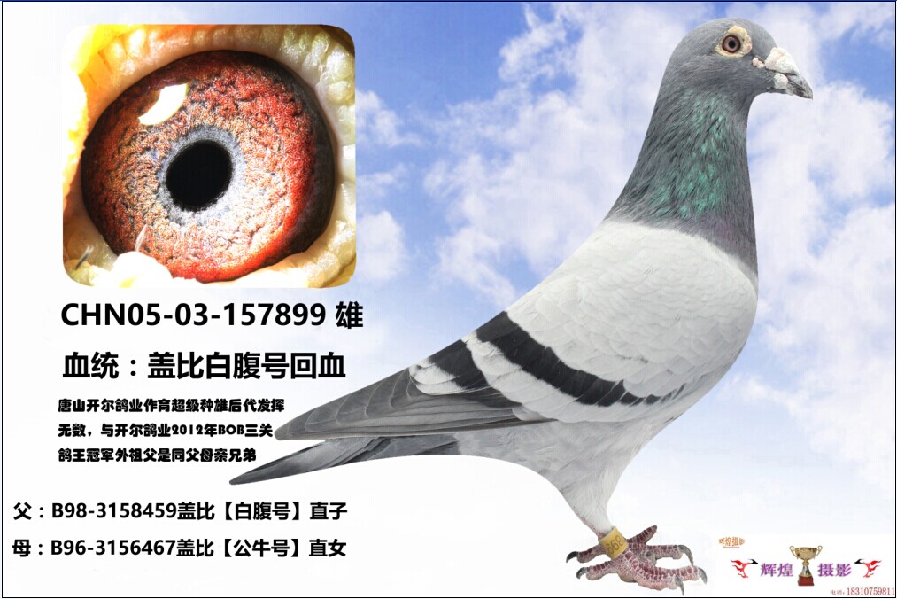 ����TA�ĸ�����