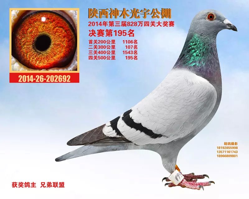 ����TA�ĸ�����