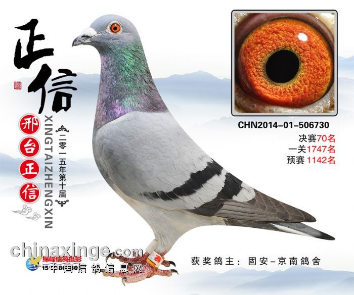 ����TA�ĸ�����