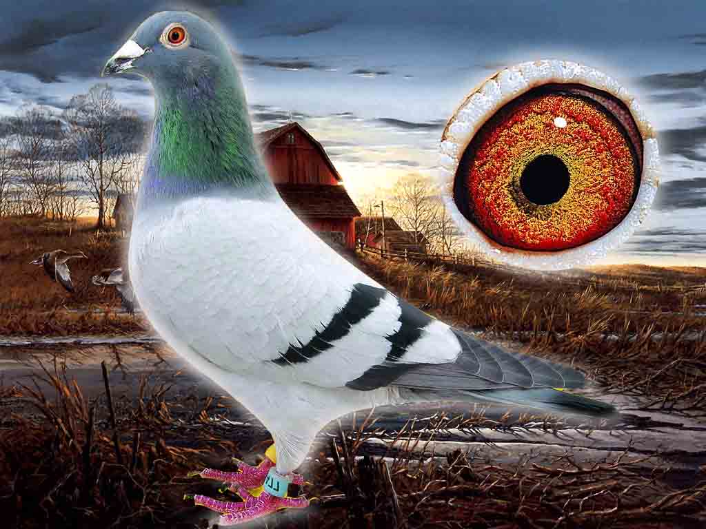 ����TA�ĸ�����