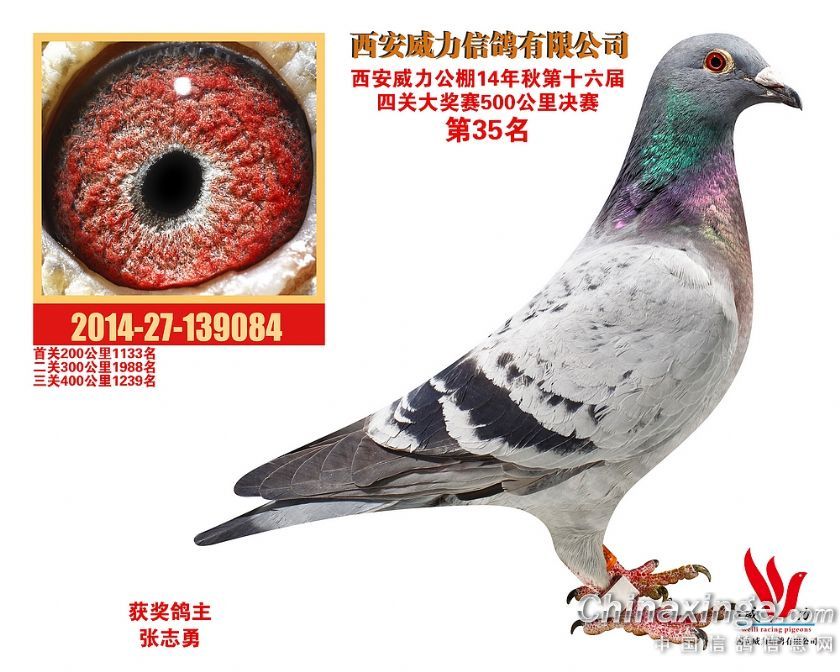 ����TA�ĸ�����