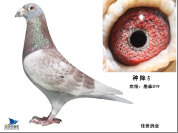 ����TA�ĸ�����