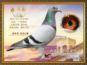 ����TA�ĸ�����