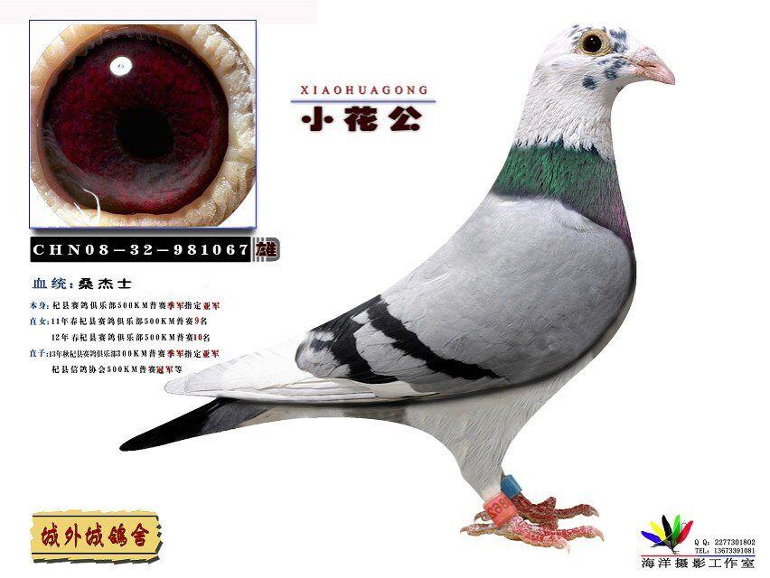 ����TA�ĸ�����