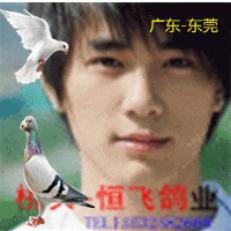 ����TA�ĸ�����