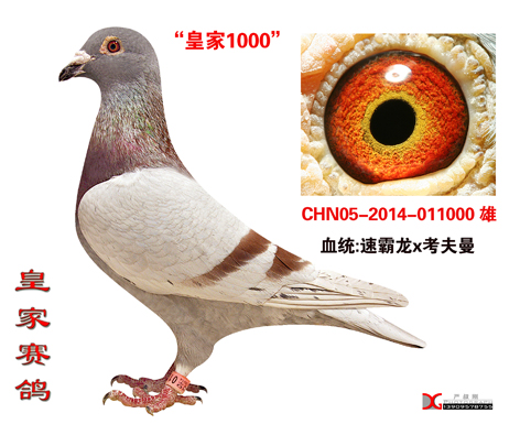 ����TA�ĸ�����