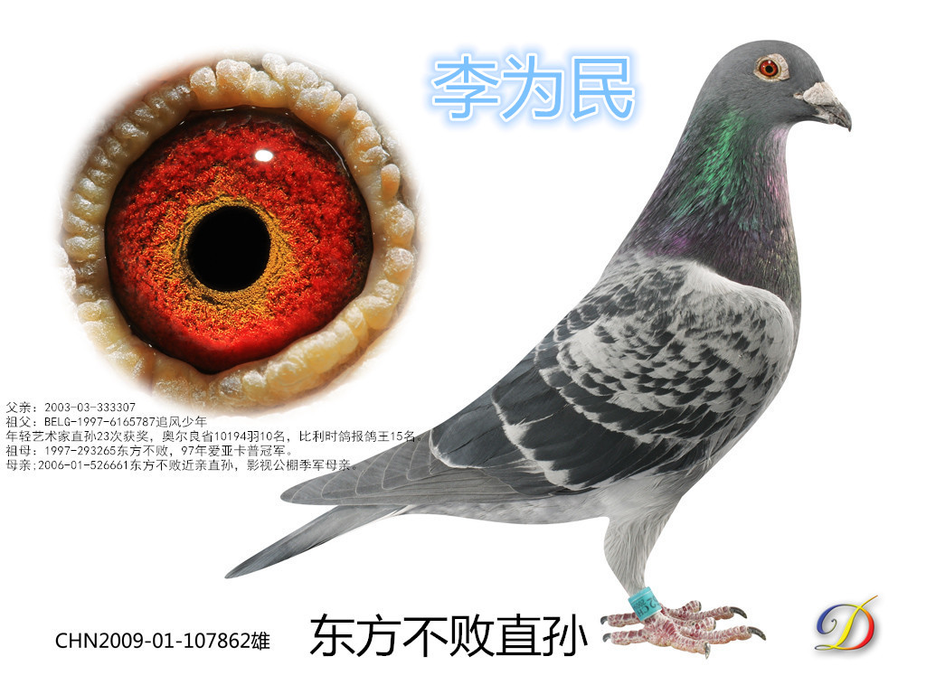 ����TA�ĸ�����