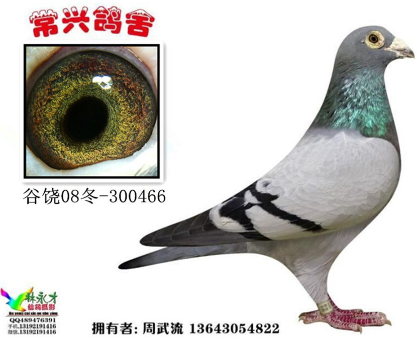 ����TA�ĸ�����