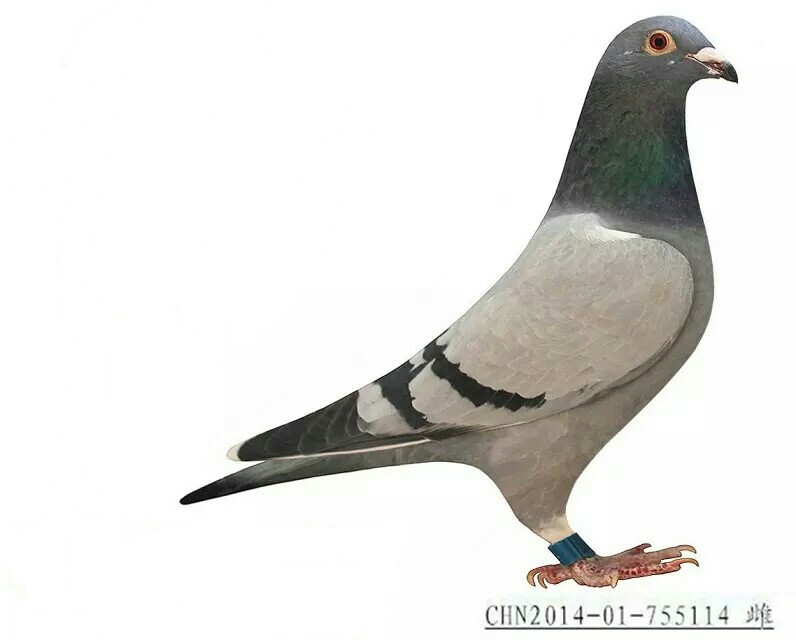 ����TA�ĸ�����