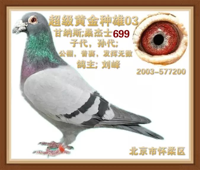 ����TA�ĸ�����