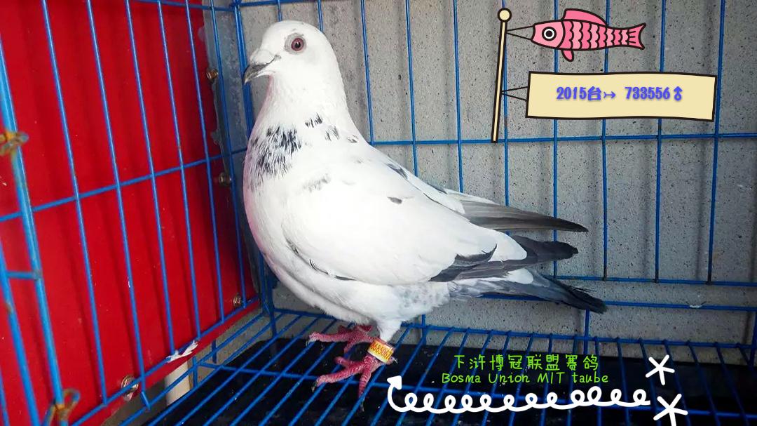 ����TA�ĸ�����