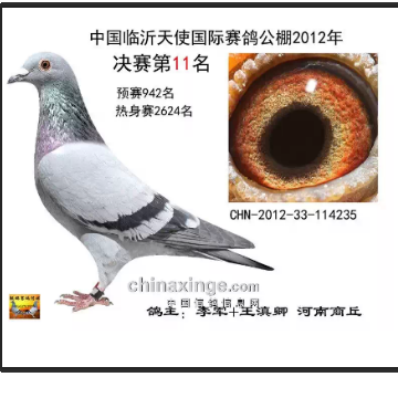 ����TA�ĸ�����