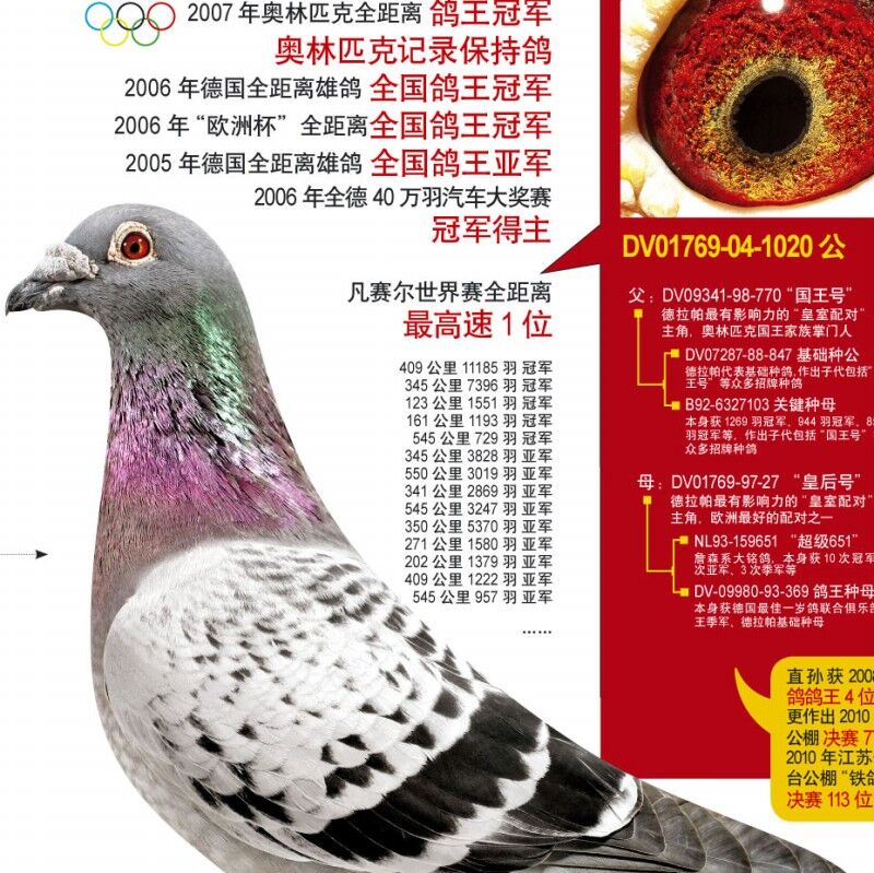 ����TA�ĸ�����