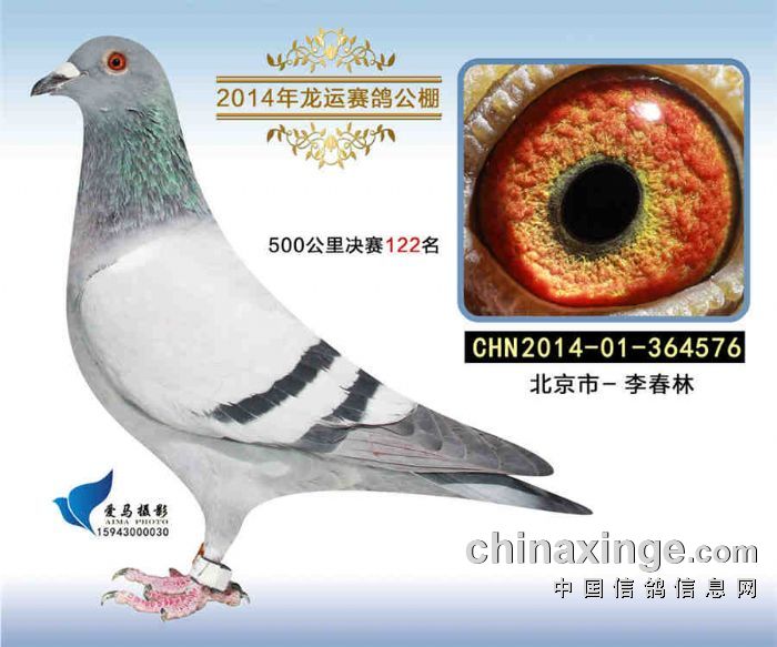 ����TA�ĸ�����