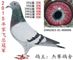 ����TA�ĸ�����