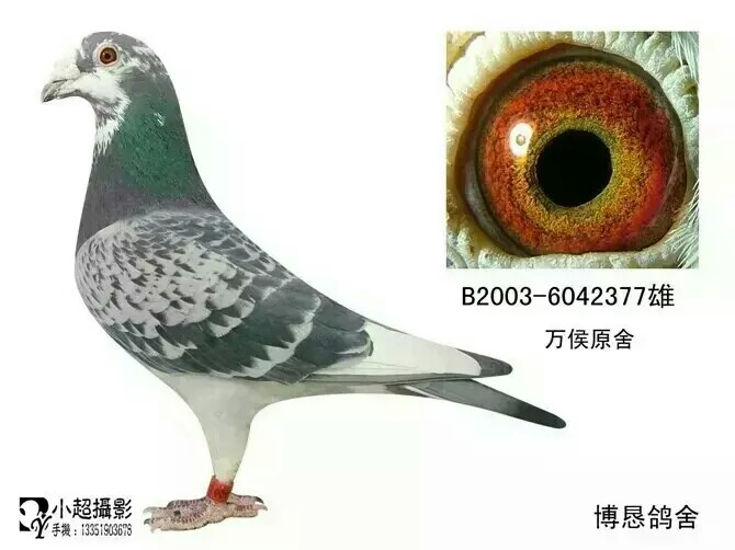 ����TA�ĸ�����