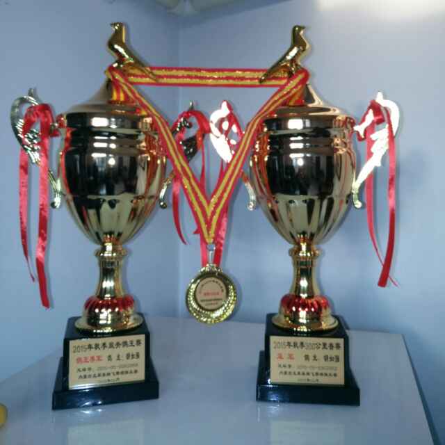 ����TA�ĸ�����