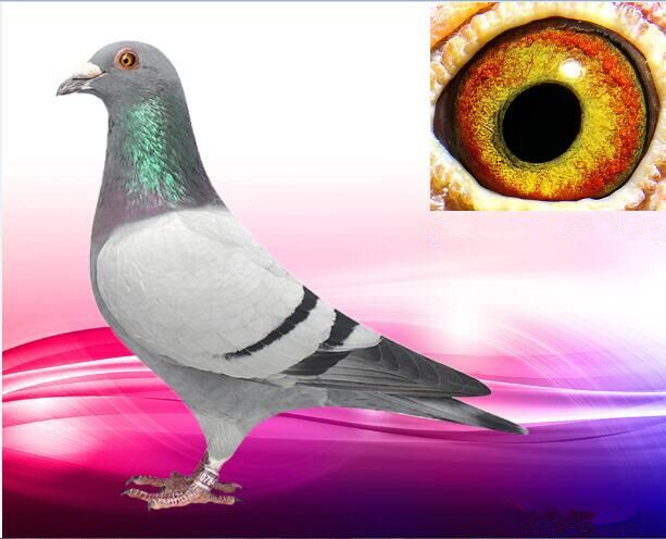 ����TA�ĸ�����