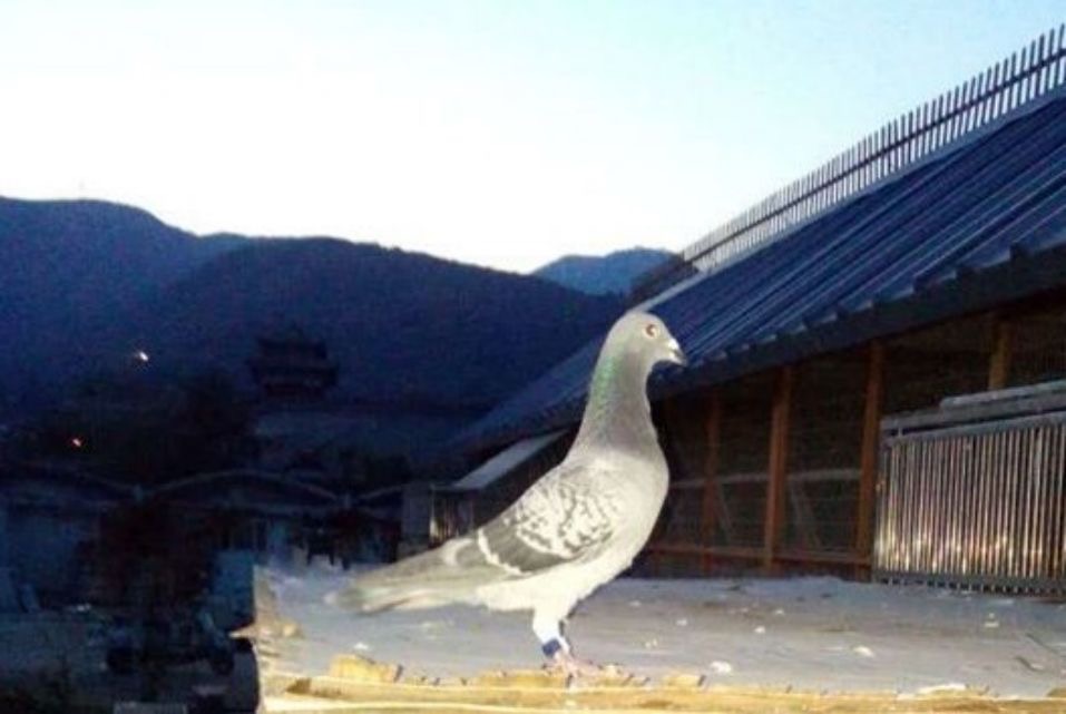 ����TA�ĸ�����