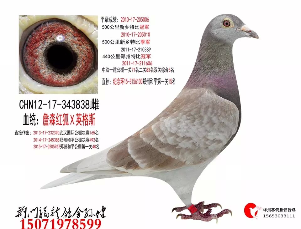 ����TA�ĸ�����