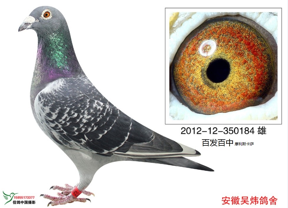 ����TA�ĸ�����