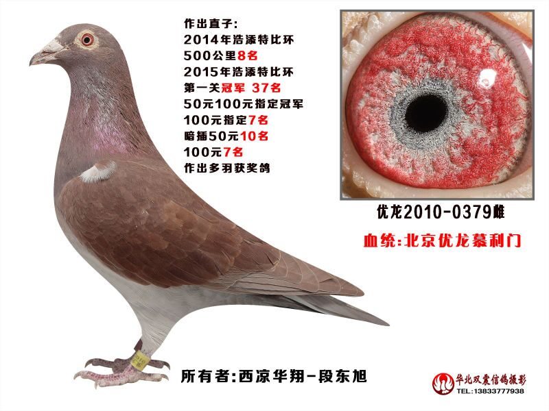 ����TA�ĸ�����