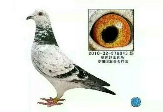 ����TA�ĸ�����