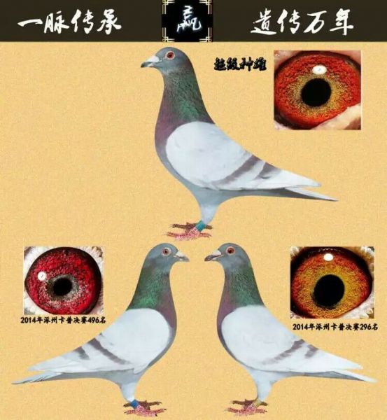 ����TA�ĸ�����