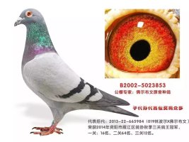 ����TA�ĸ�����