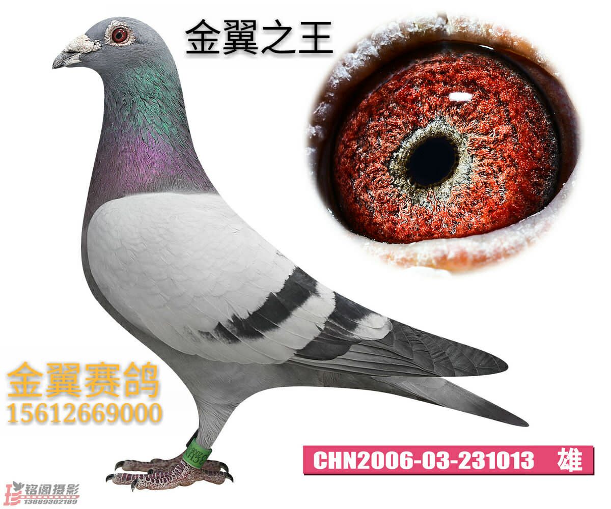 ����TA�ĸ�����