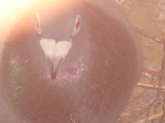 ����TA�ĸ�����