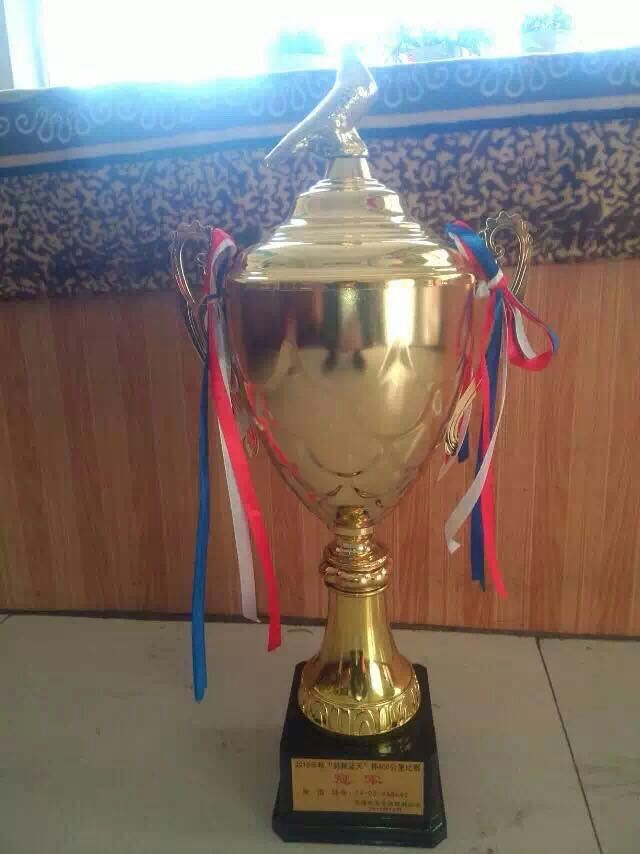 ����TA�ĸ�����