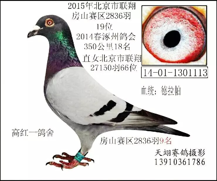 ����TA�ĸ�����