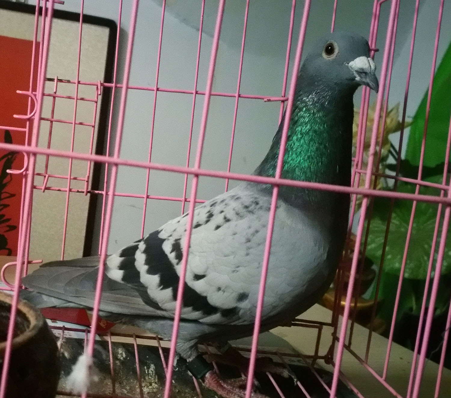 ����TA�ĸ�����