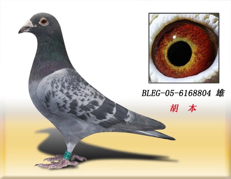 ����TA�ĸ�����