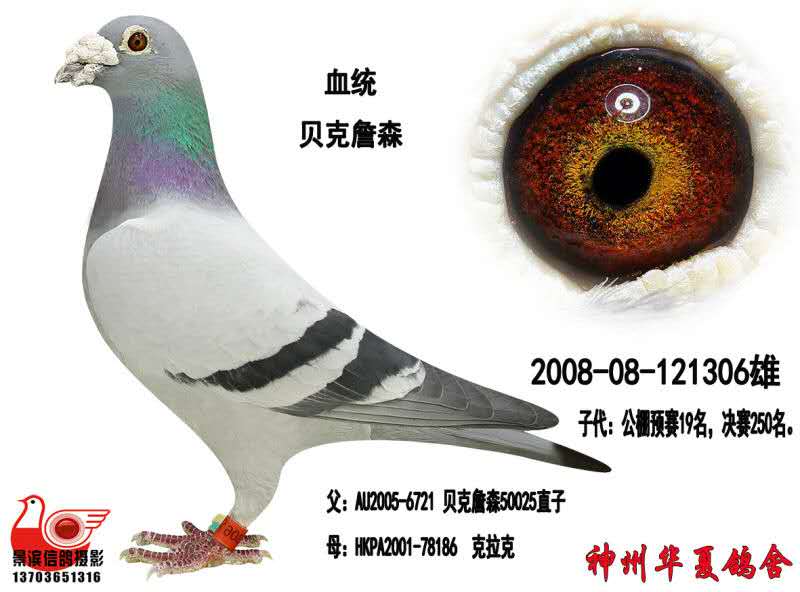 ����TA�ĸ�����