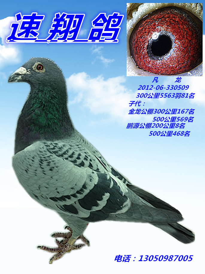 ����TA�ĸ�����