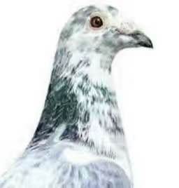 ����TA�ĸ�����