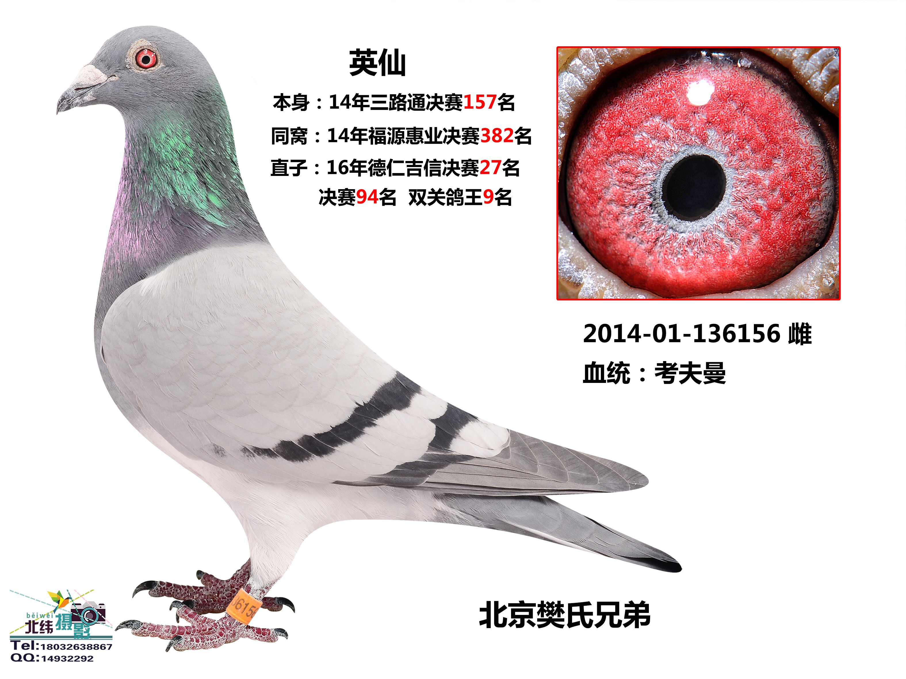 ����TA�ĸ�����