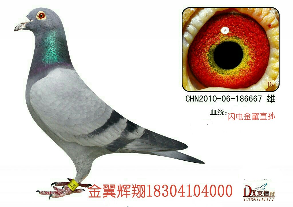 ����TA�ĸ�����