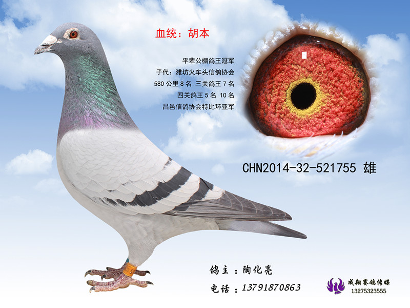 ����TA�ĸ�����