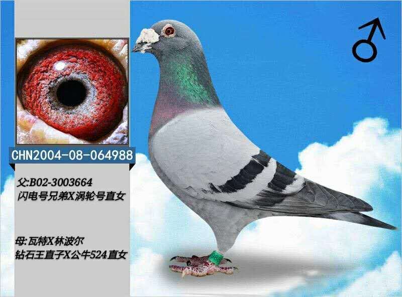 ����TA�ĸ�����