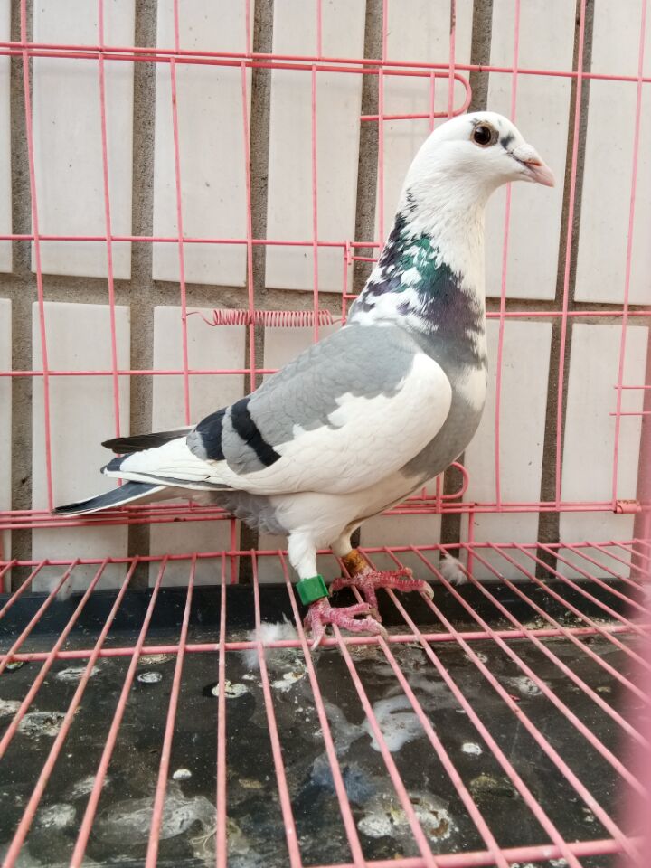 ����TA�ĸ�����