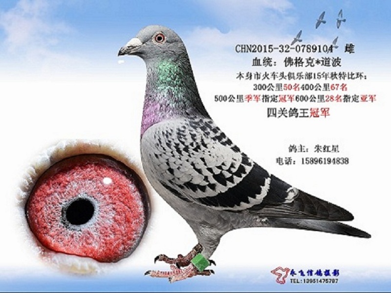 ����TA�ĸ�����