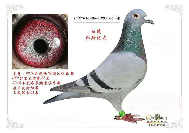 ����TA�ĸ�����