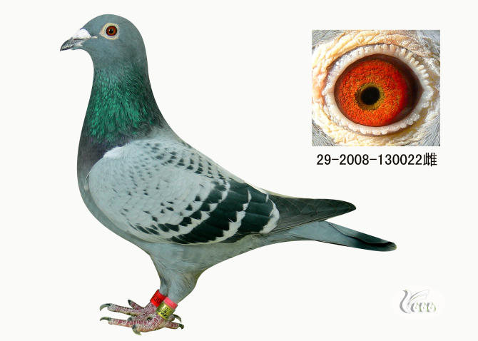 ����TA�ĸ�����