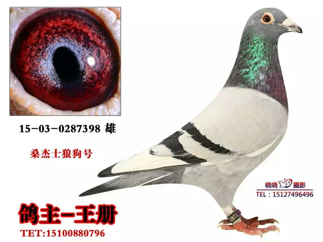 ����TA�ĸ�����