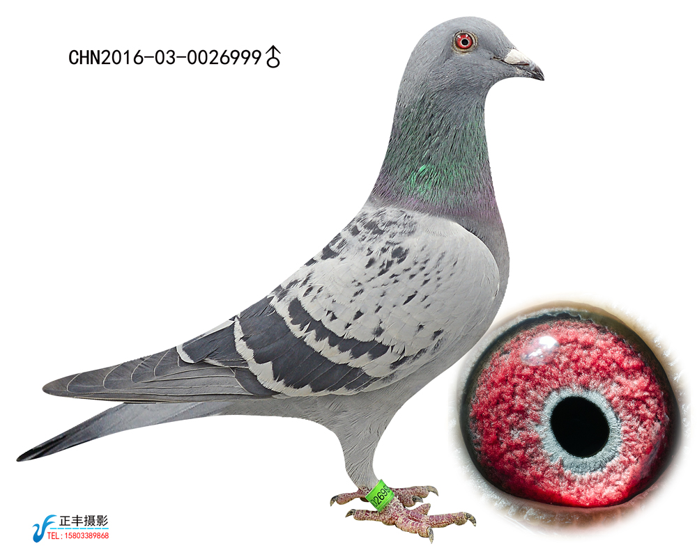 ����TA�ĸ�����